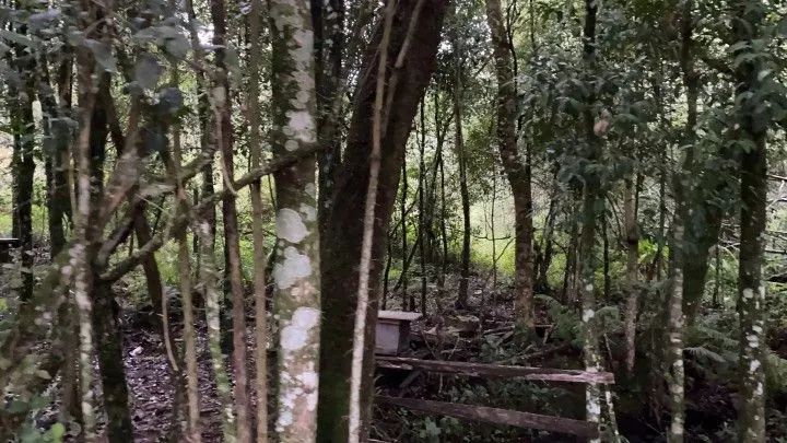 Chácara à venda de 4.800 m² em Taquara, RS, Brasil