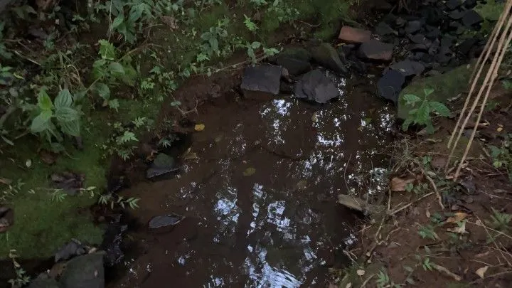 Chácara à venda de 4.800 m² em Taquara, RS, Brasil
