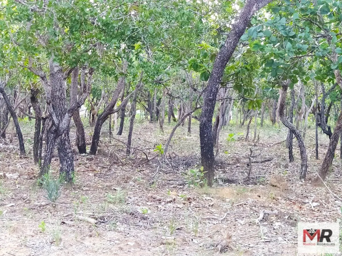 Small farm for sale of 15 acres in Três Marias, MG, Brazil