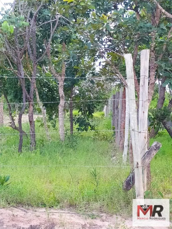 Small farm for sale of 15 acres in Três Marias, MG, Brazil