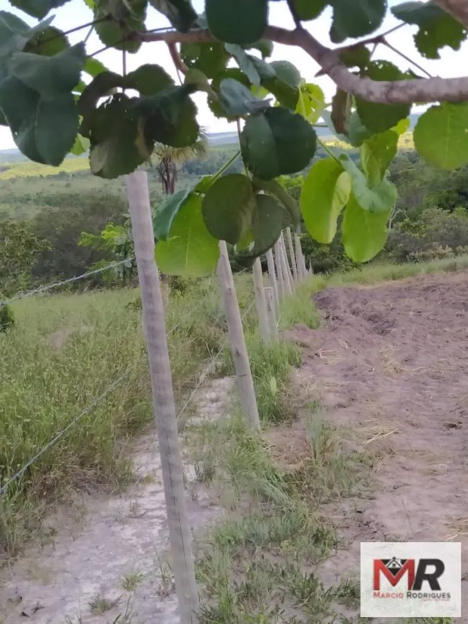 Small farm for sale of 15 acres in Três Marias, MG, Brazil