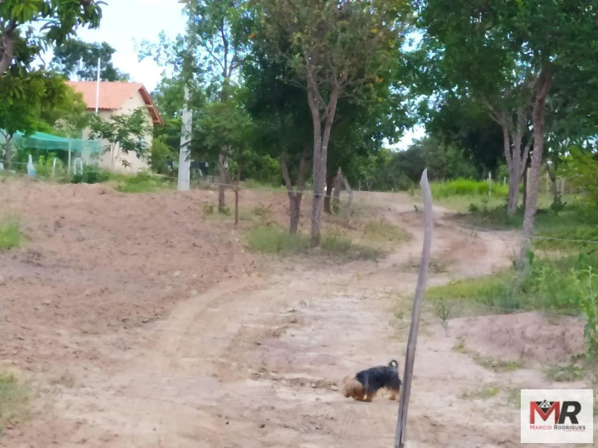 Small farm for sale of 15 acres in Três Marias, MG, Brazil