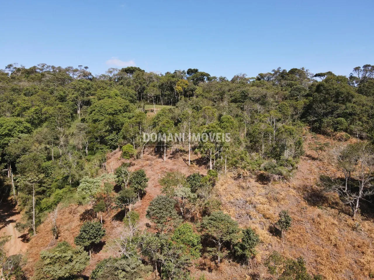 Terreno à venda de 5.000 m² em Santo Antônio do Pinhal, SP, Brasil