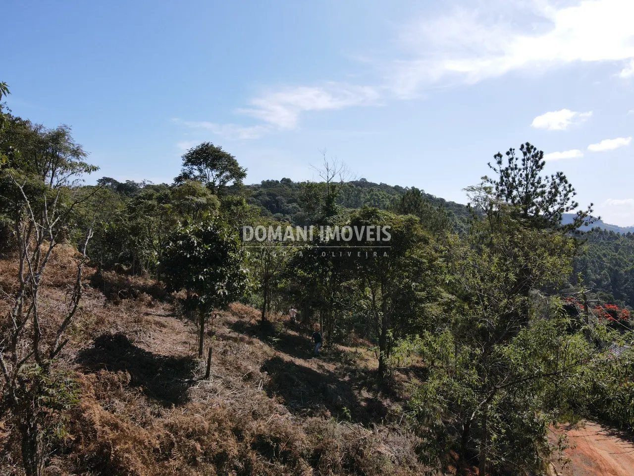 Terreno à venda de 5.000 m² em Santo Antônio do Pinhal, SP, Brasil