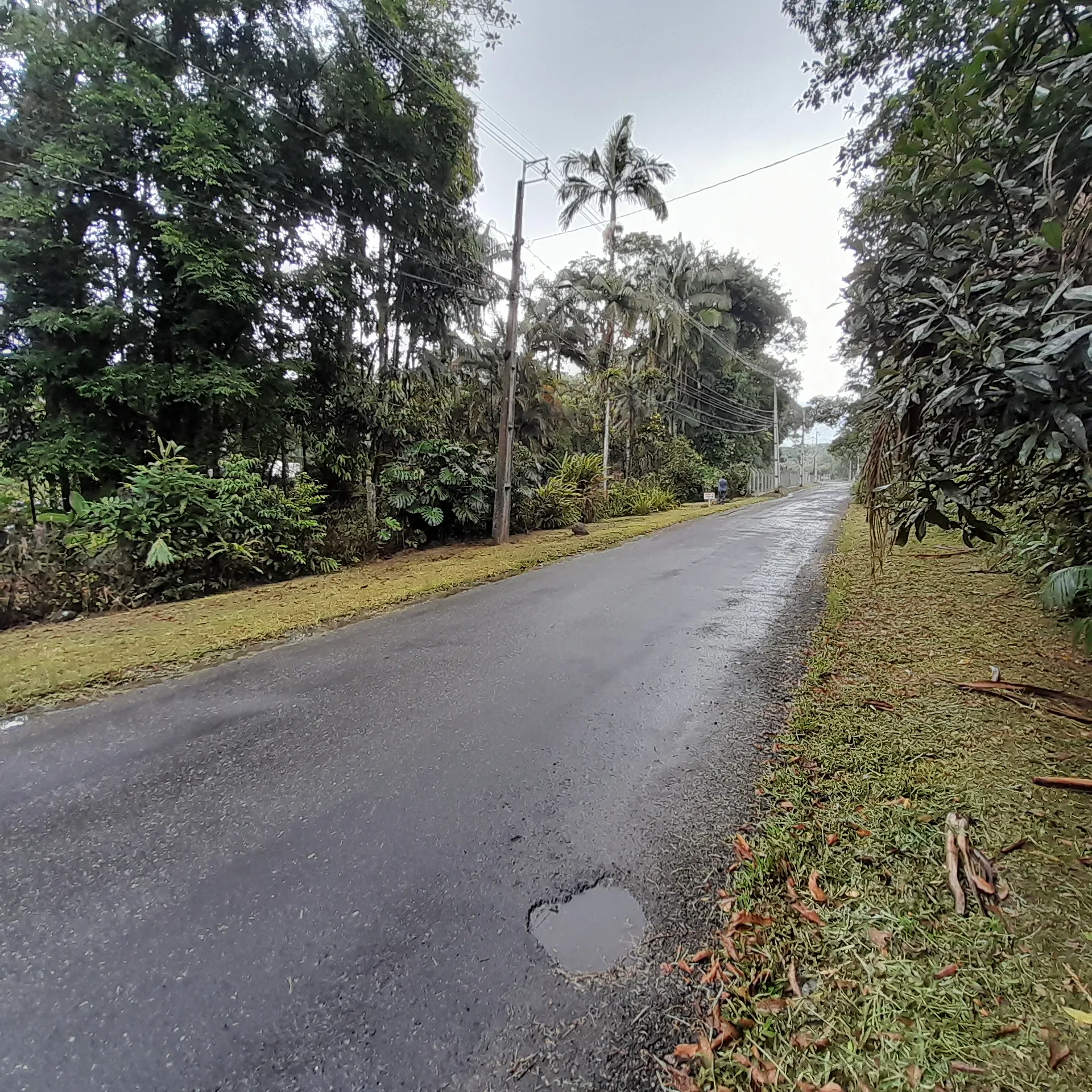 Chácara à venda de 18 ha em Guaratuba, PR, Brasil