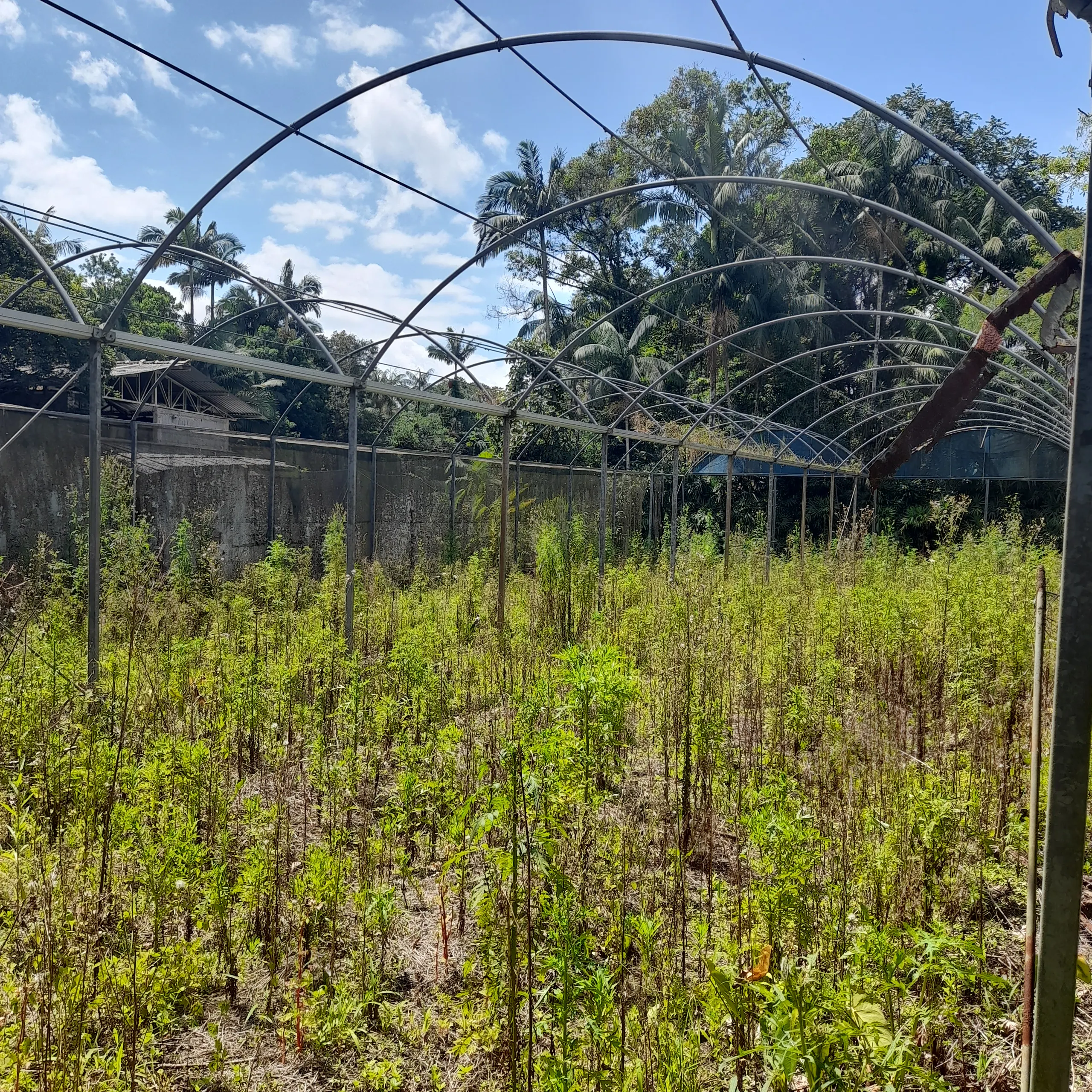 Chácara à venda de 18 ha em Guaratuba, PR, Brasil
