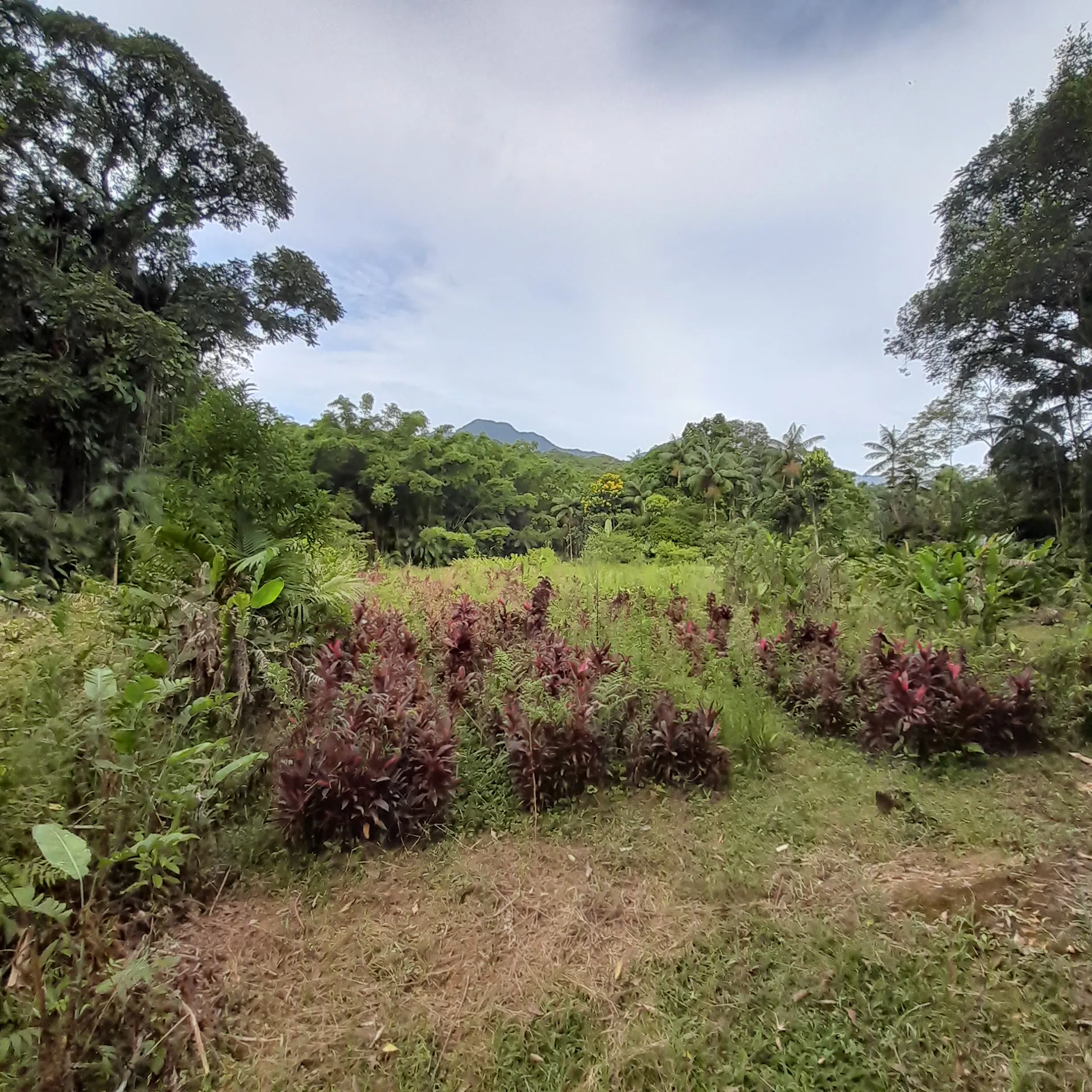 Chácara à venda de 18 ha em Guaratuba, PR, Brasil