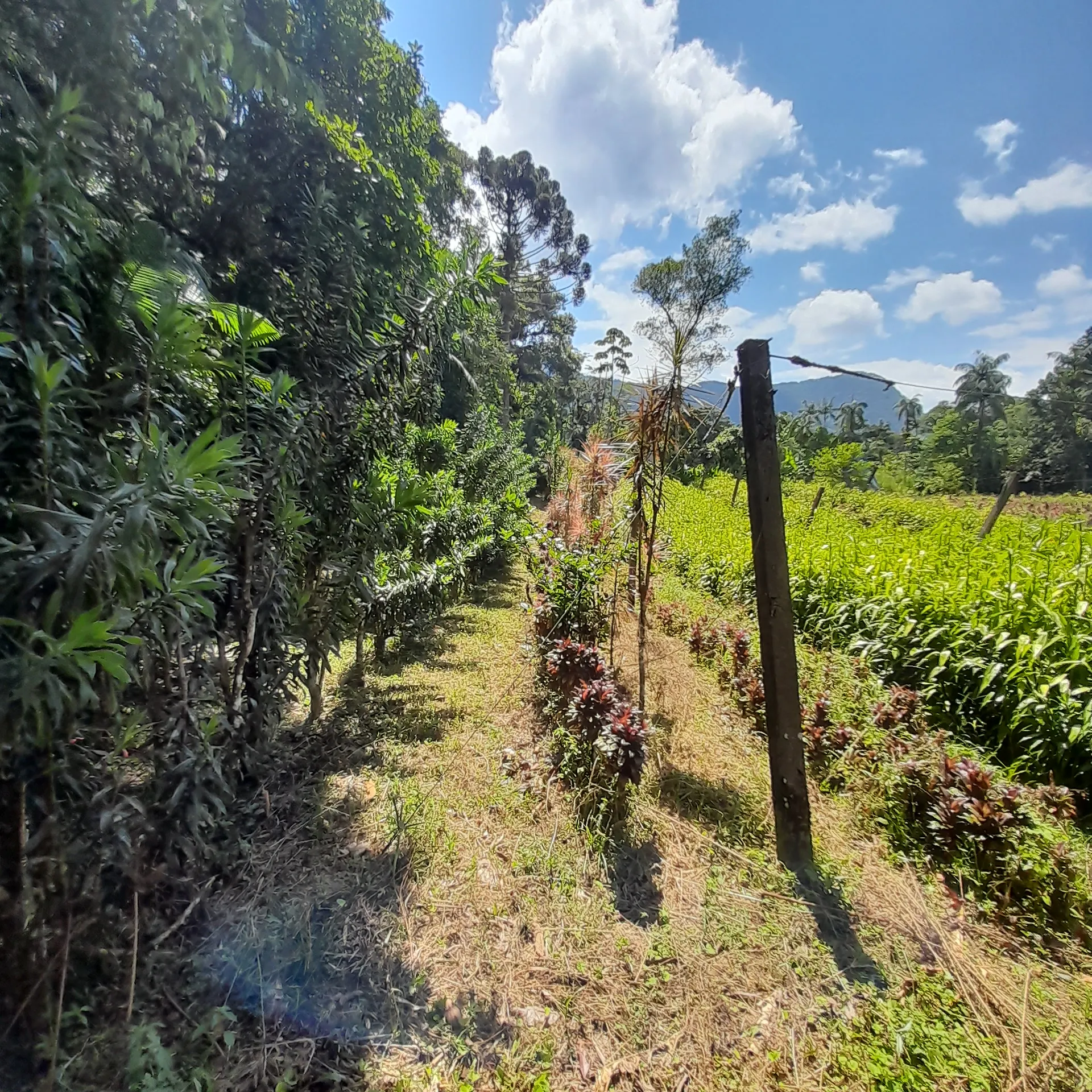 Chácara à venda de 18 ha em Guaratuba, PR, Brasil