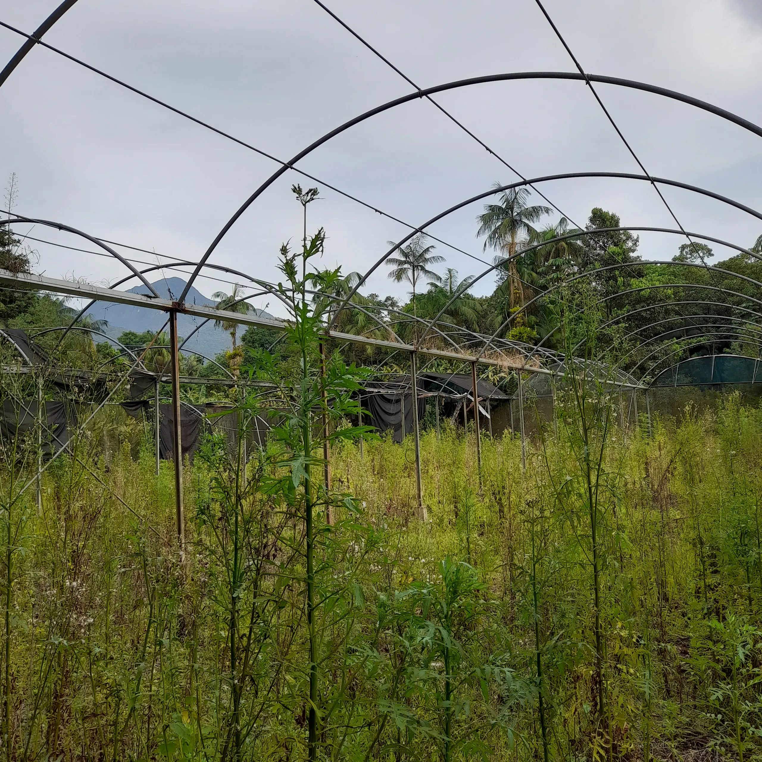 Chácara à venda de 18 ha em Guaratuba, PR, Brasil