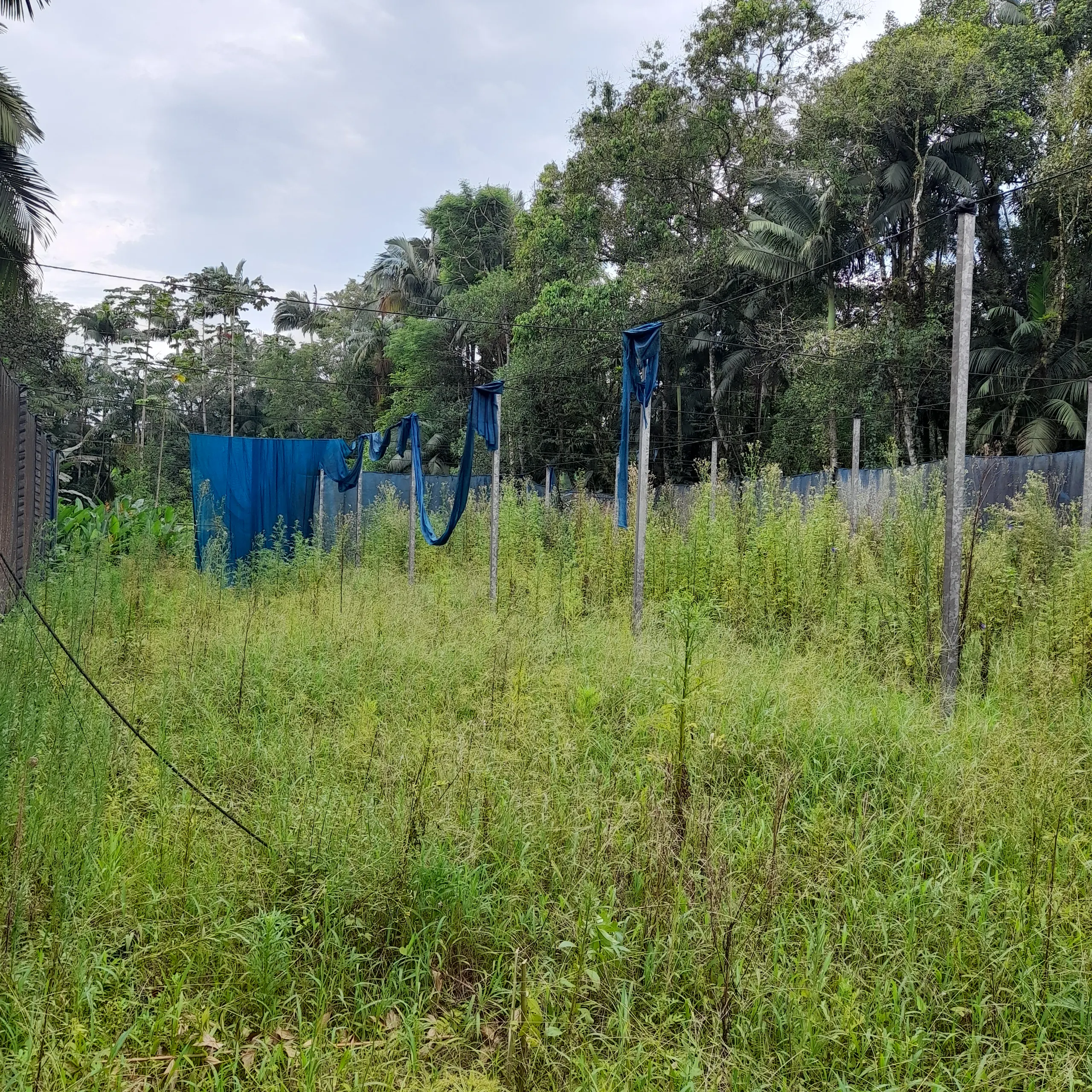 Chácara à venda de 18 ha em Guaratuba, PR, Brasil