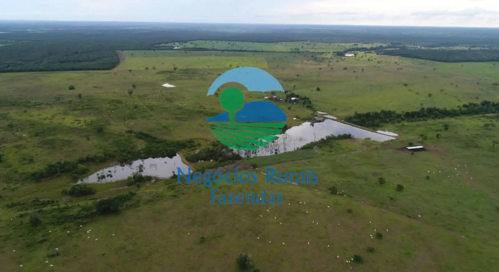 Farm for sale of 3,299 acres in Dueré, TO, Brazil