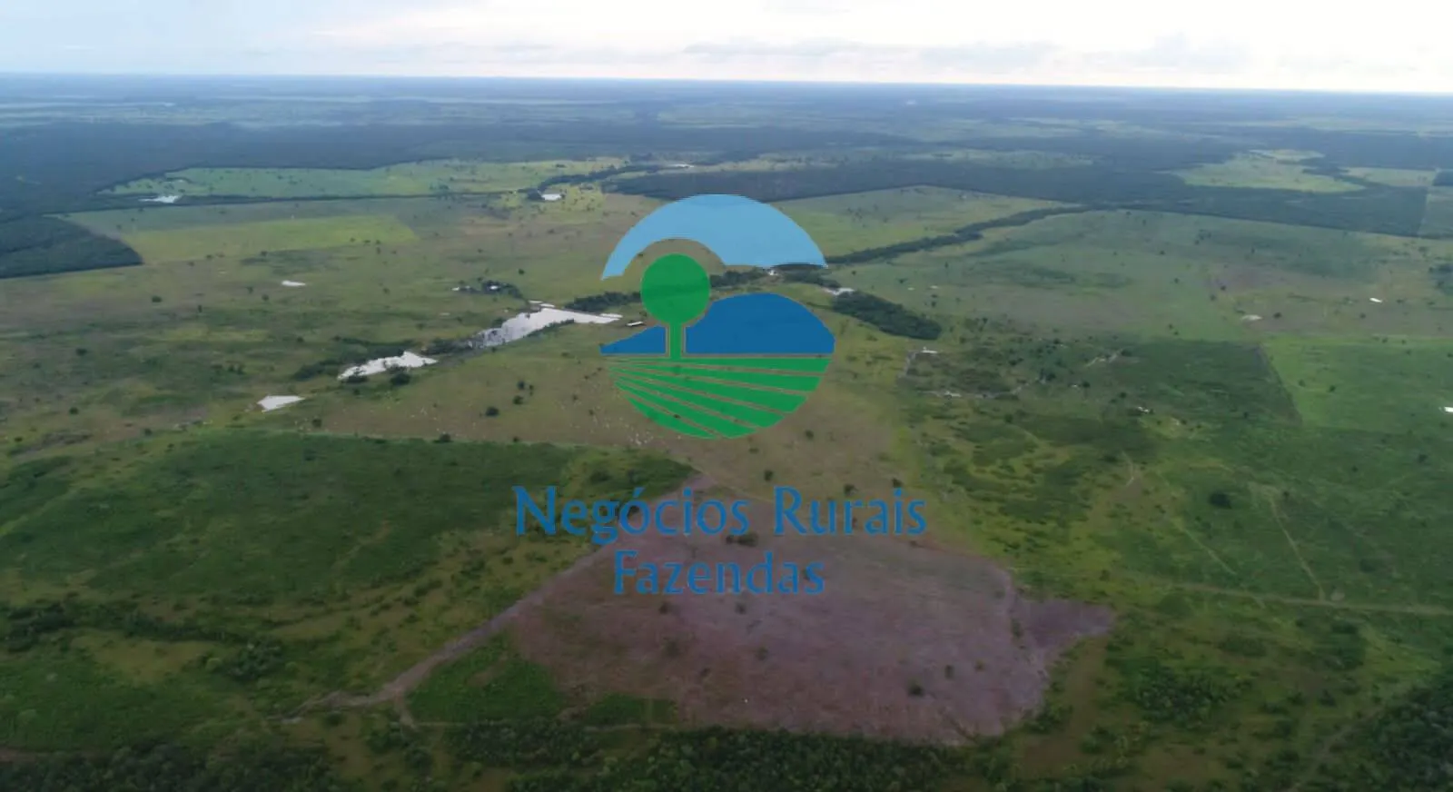 Farm for sale of 3,299 acres in Dueré, TO, Brazil