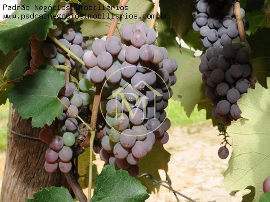 Fazenda à venda de 68.000 ha em Porto Feliz, SP, Brasil