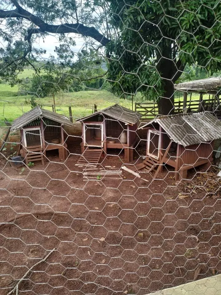 Small farm for sale of 24 acres in Piraju, SP, Brazil