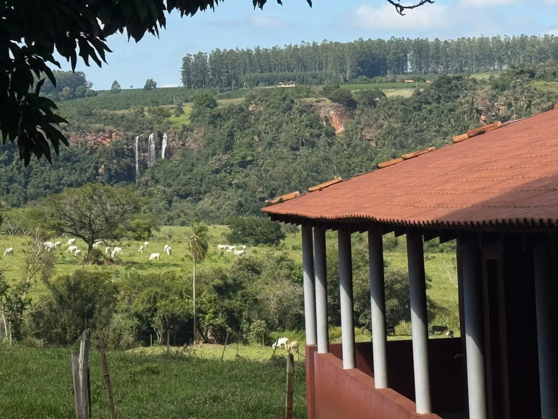 Small farm for sale of 24 acres in Piraju, SP, Brazil