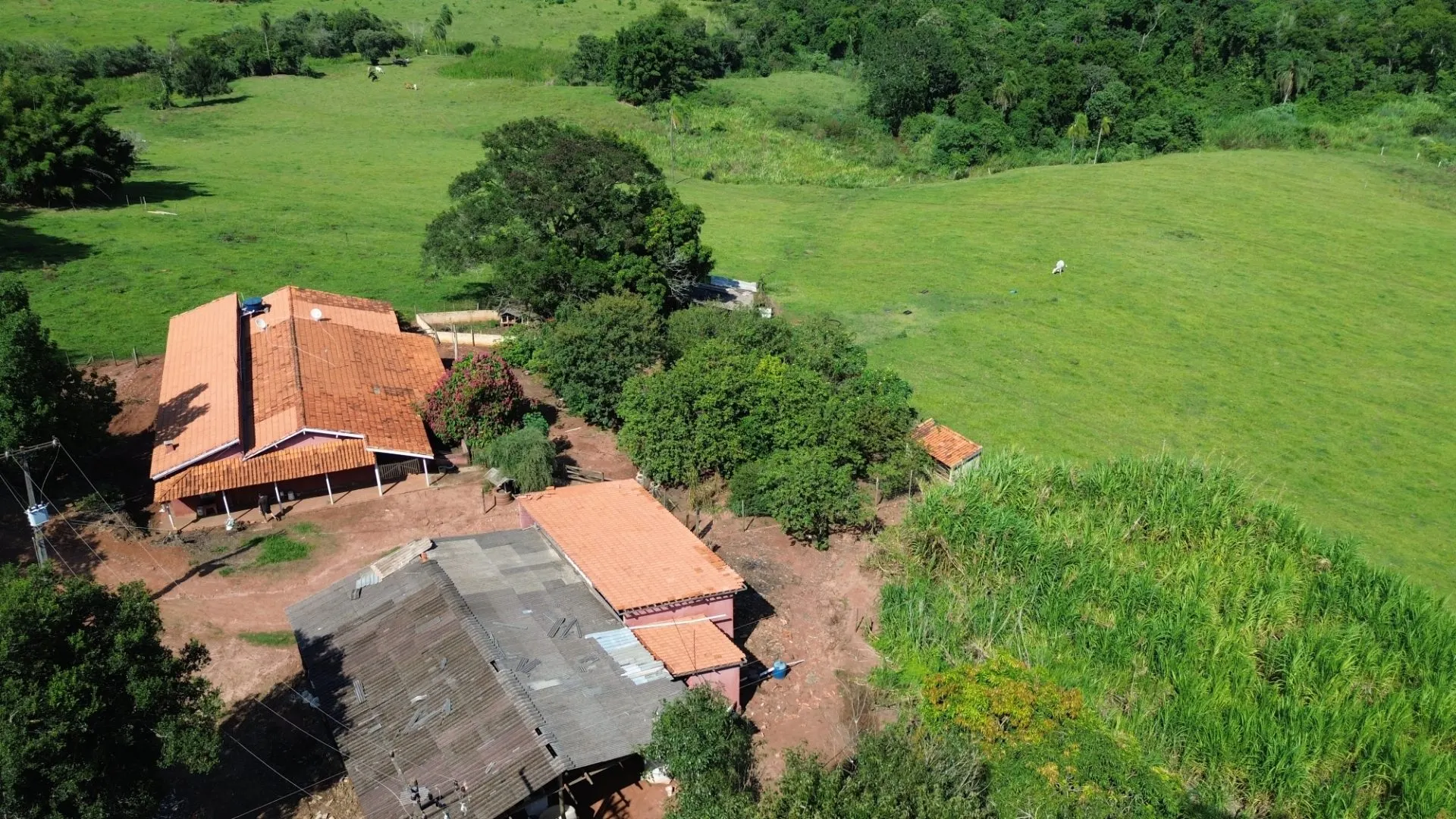 Small farm for sale of 24 acres in Piraju, SP, Brazil
