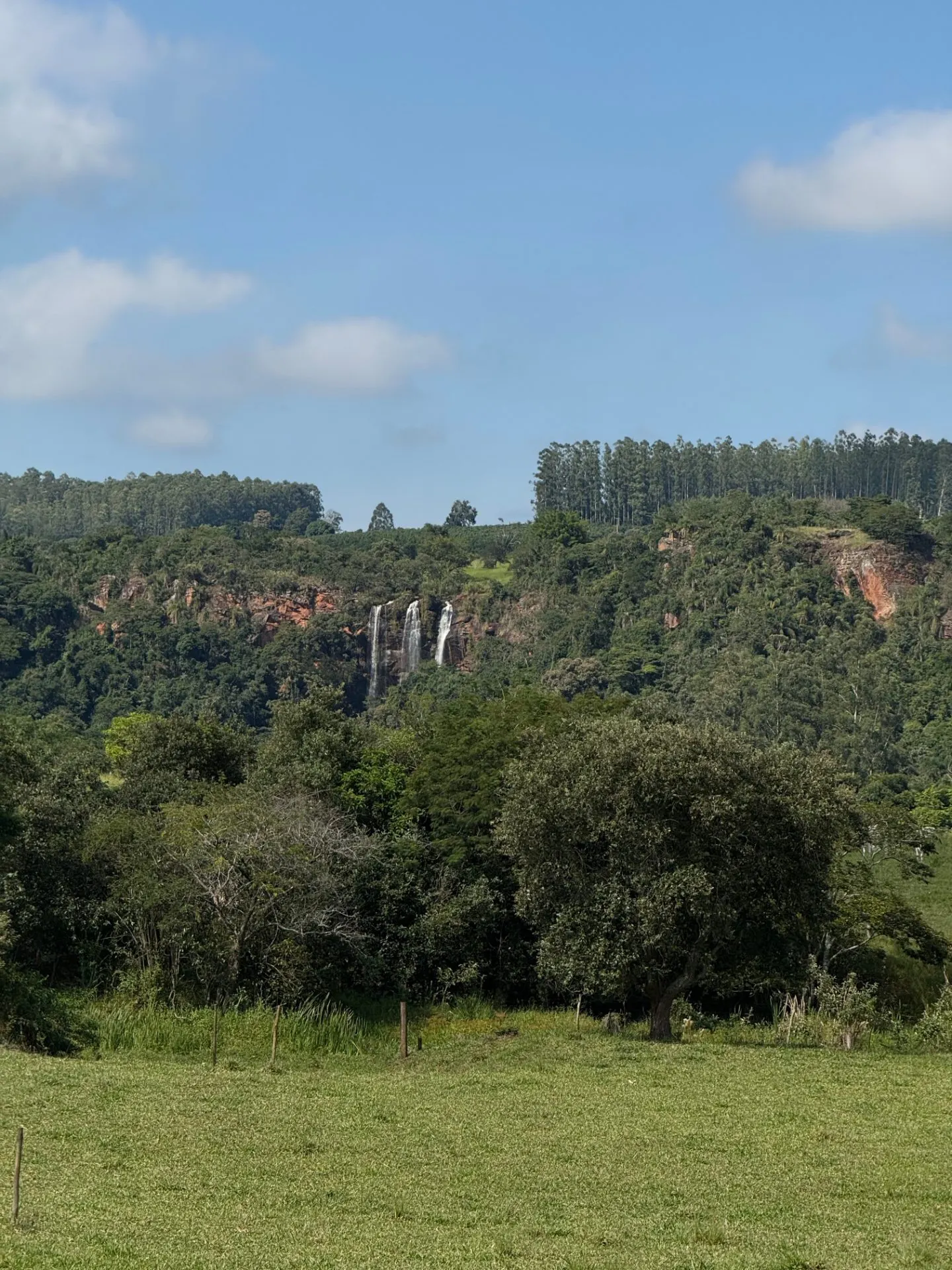Small farm for sale of 24 acres in Piraju, SP, Brazil