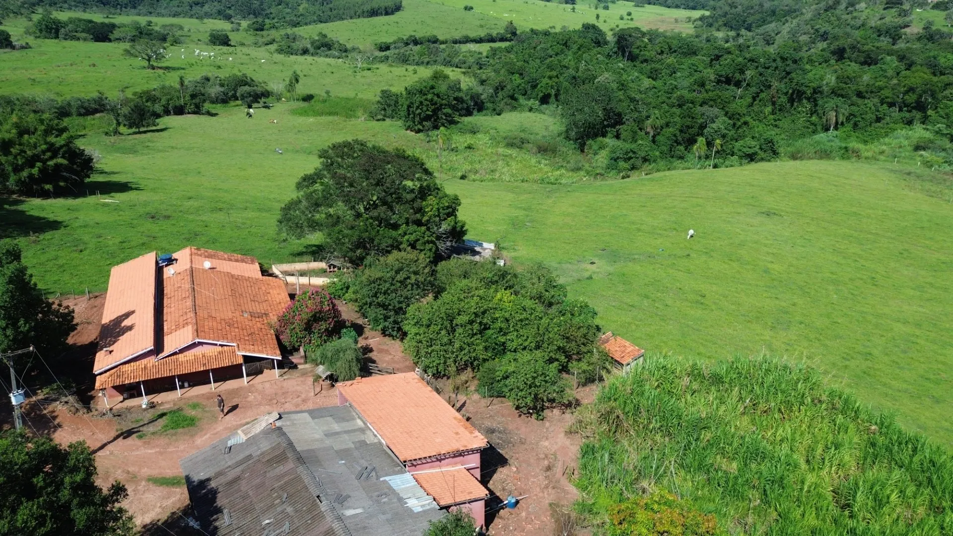 Small farm for sale of 24 acres in Piraju, SP, Brazil