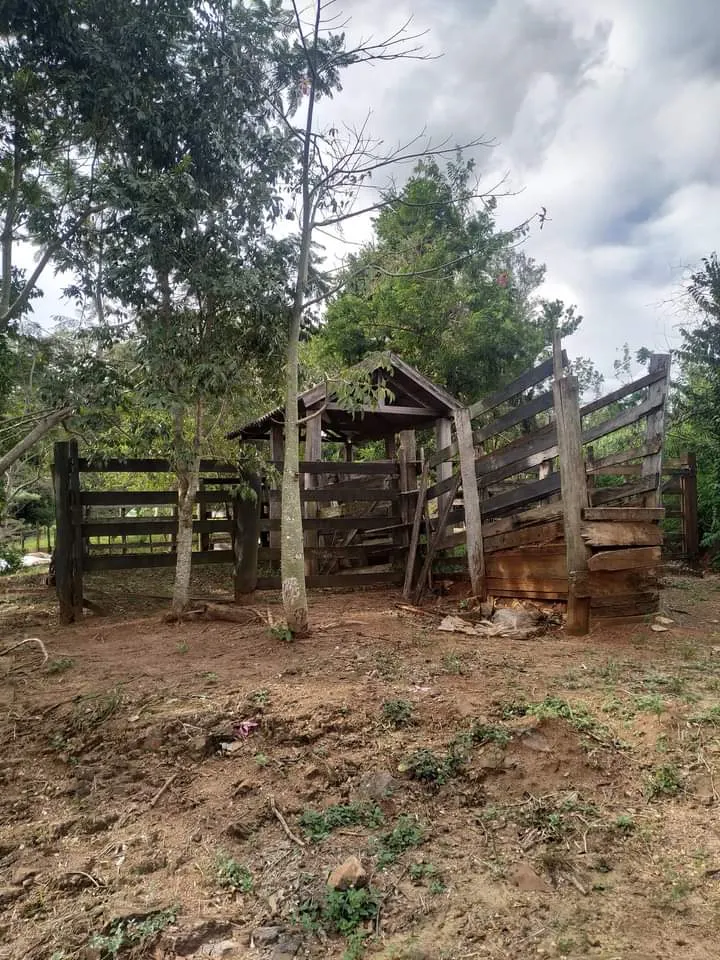 Small farm for sale of 24 acres in Piraju, SP, Brazil