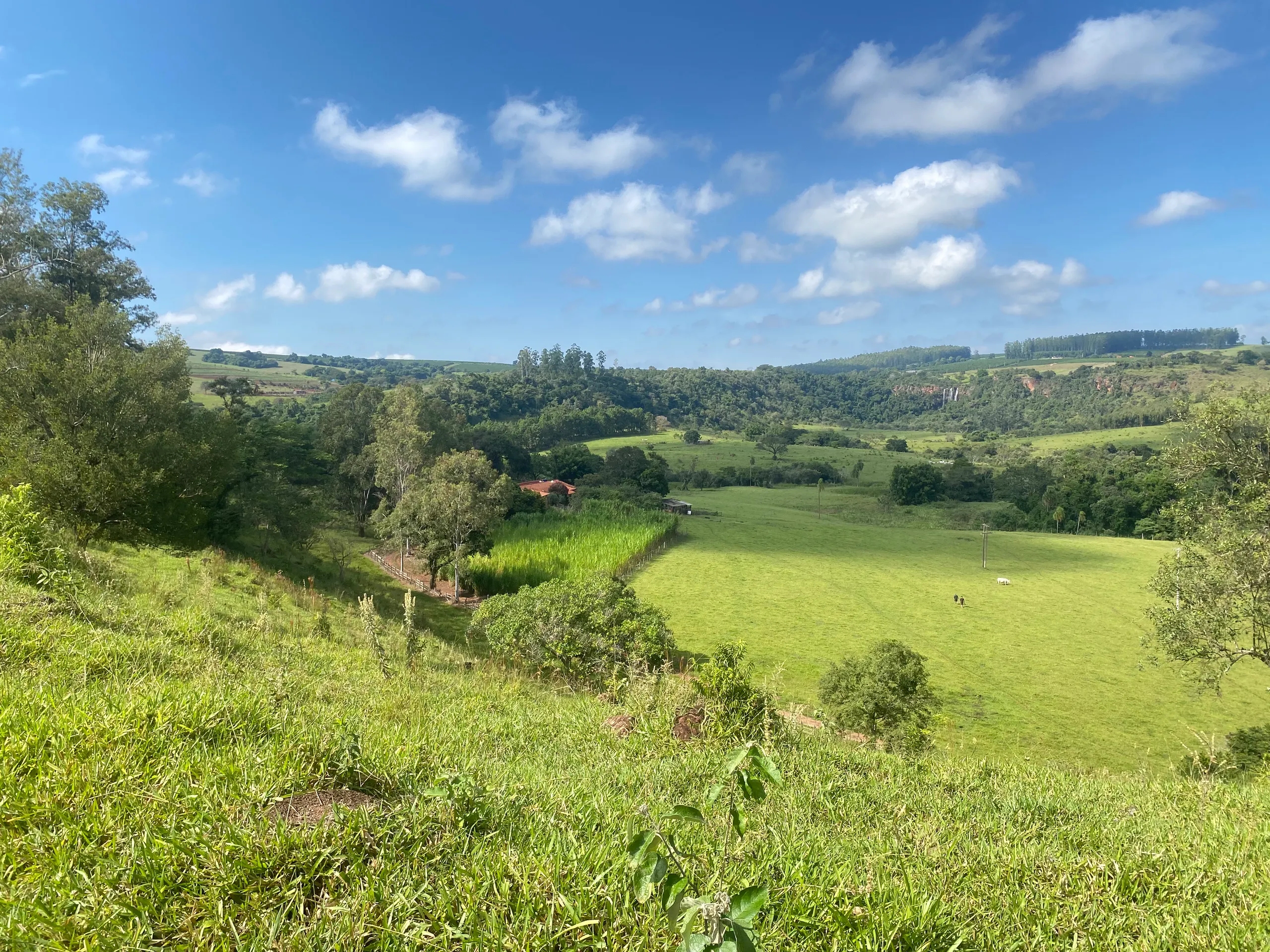 Sítio à venda de 10 ha em Piraju, SP, Brasil