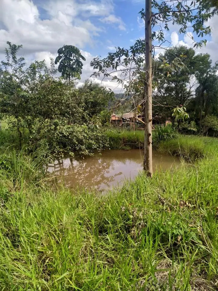 Small farm for sale of 24 acres in Piraju, SP, Brazil