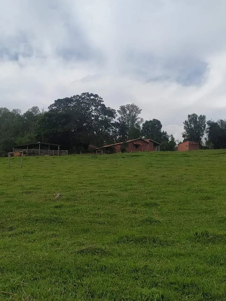 Small farm for sale of 24 acres in Piraju, SP, Brazil