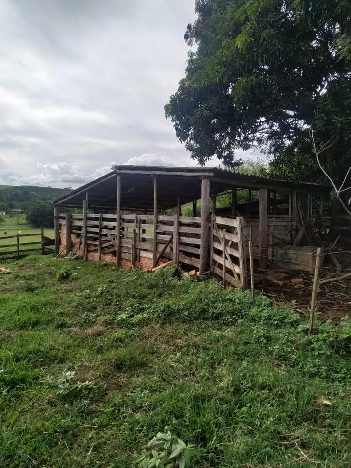 Small farm for sale of 24 acres in Piraju, SP, Brazil