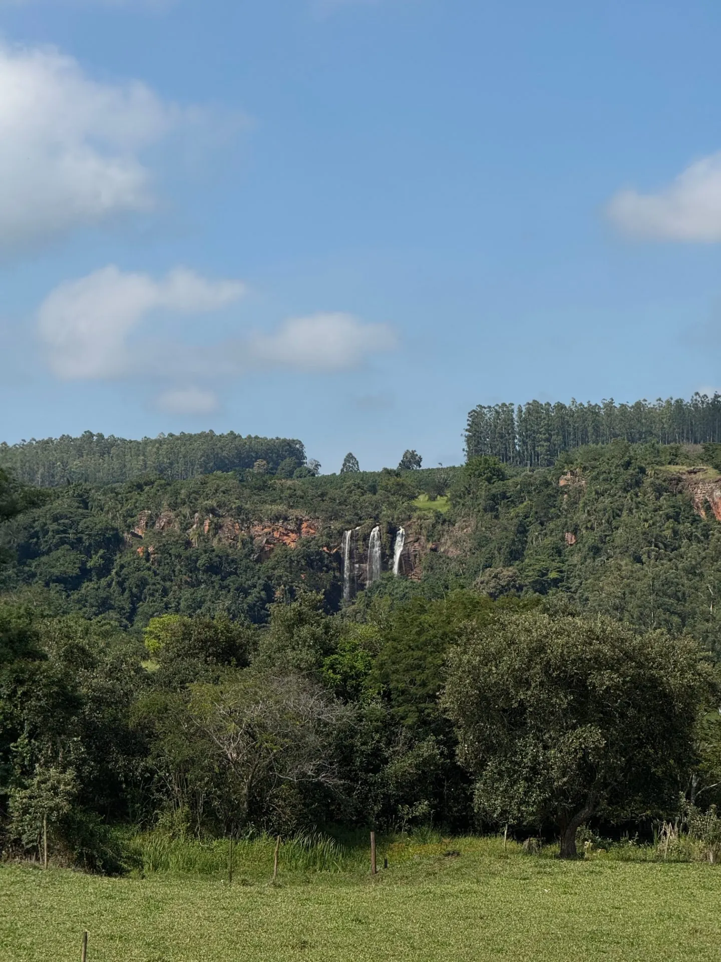 Small farm for sale of 24 acres in Piraju, SP, Brazil