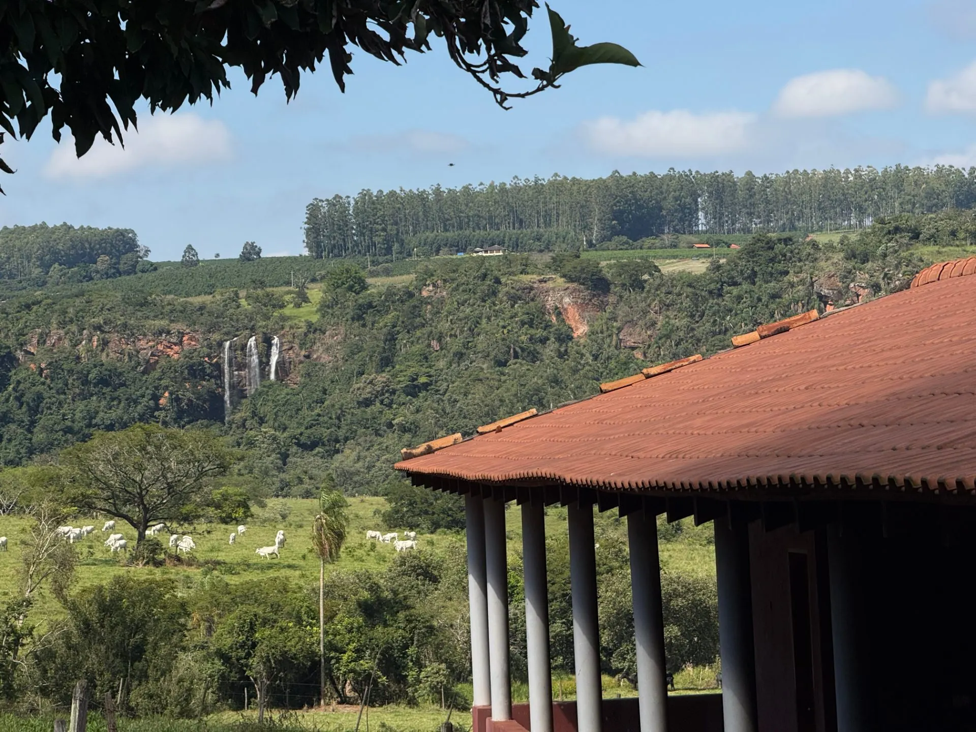 Small farm for sale of 24 acres in Piraju, SP, Brazil