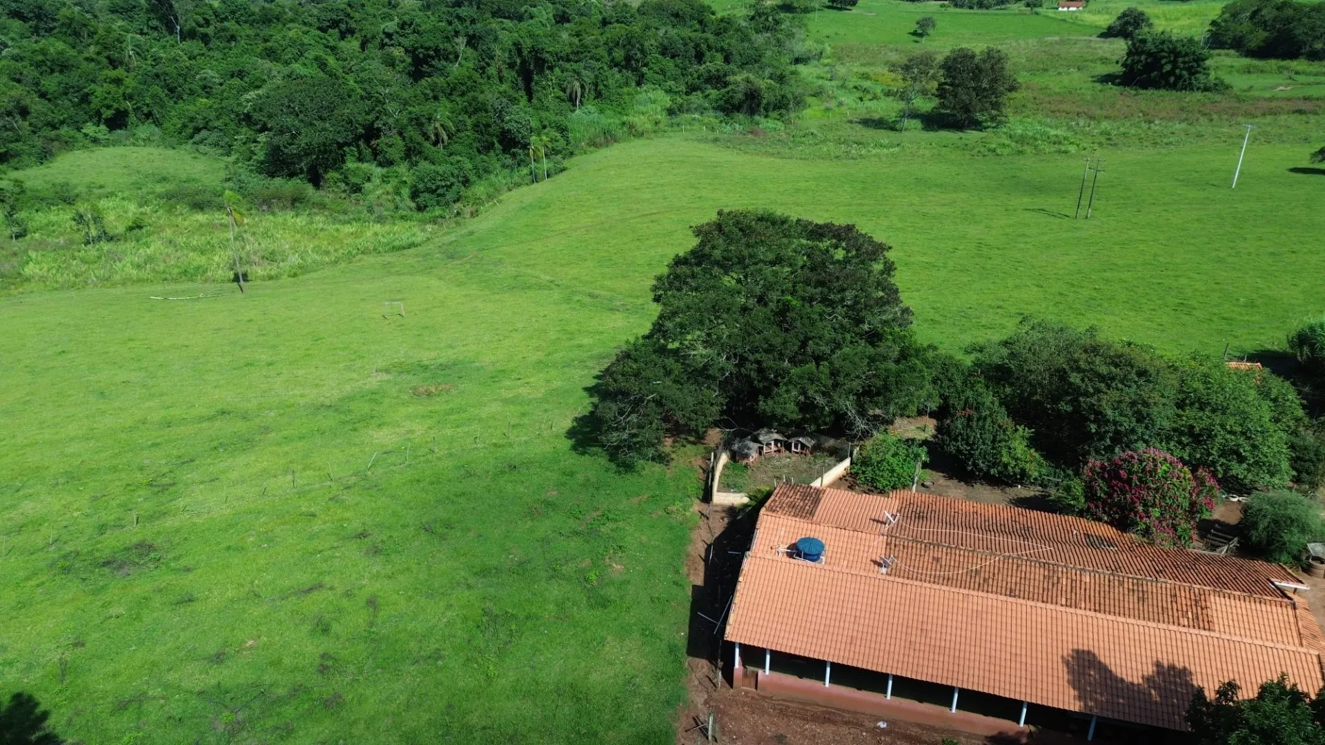Small farm for sale of 24 acres in Piraju, SP, Brazil