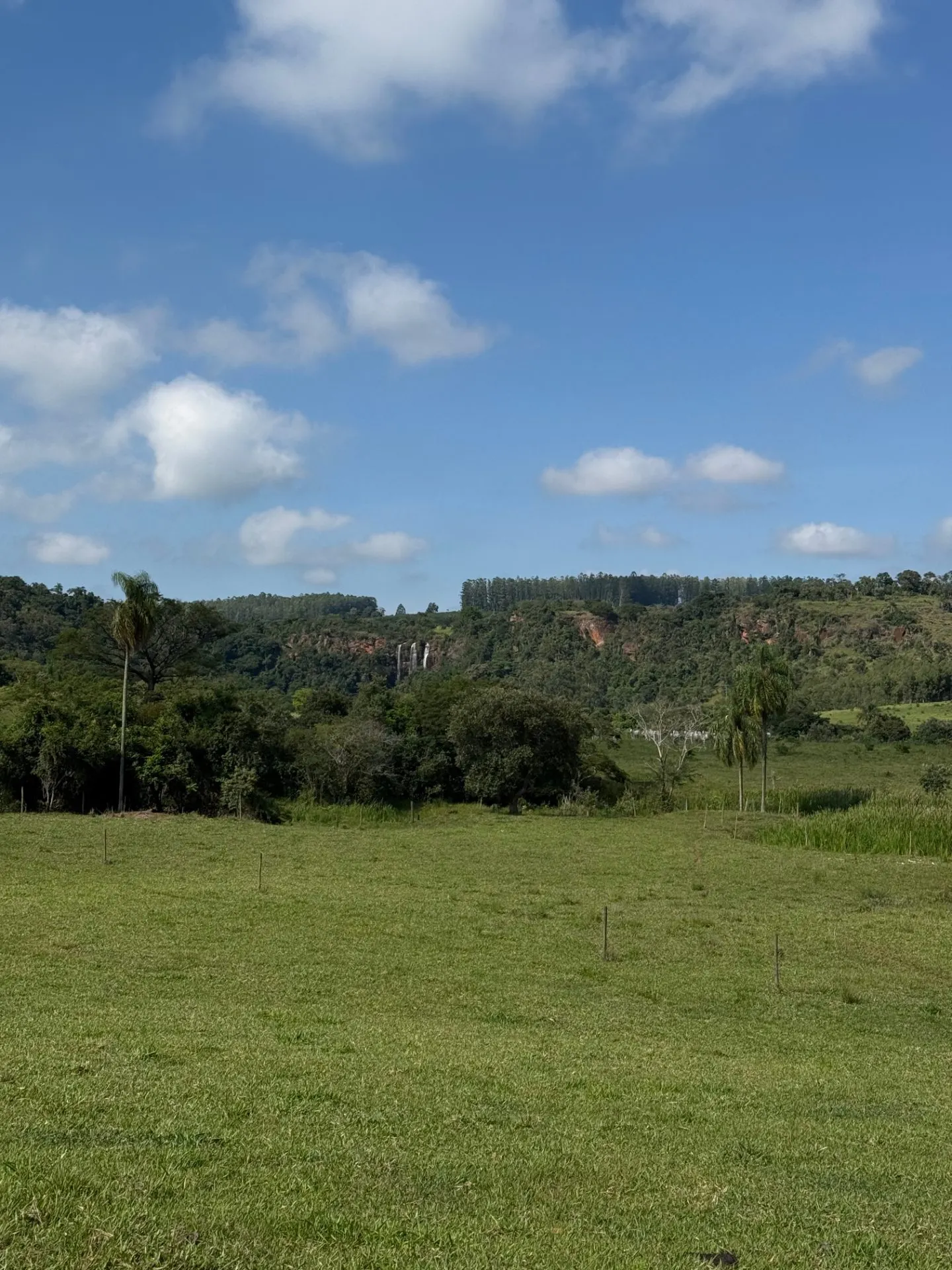 Small farm for sale of 24 acres in Piraju, SP, Brazil