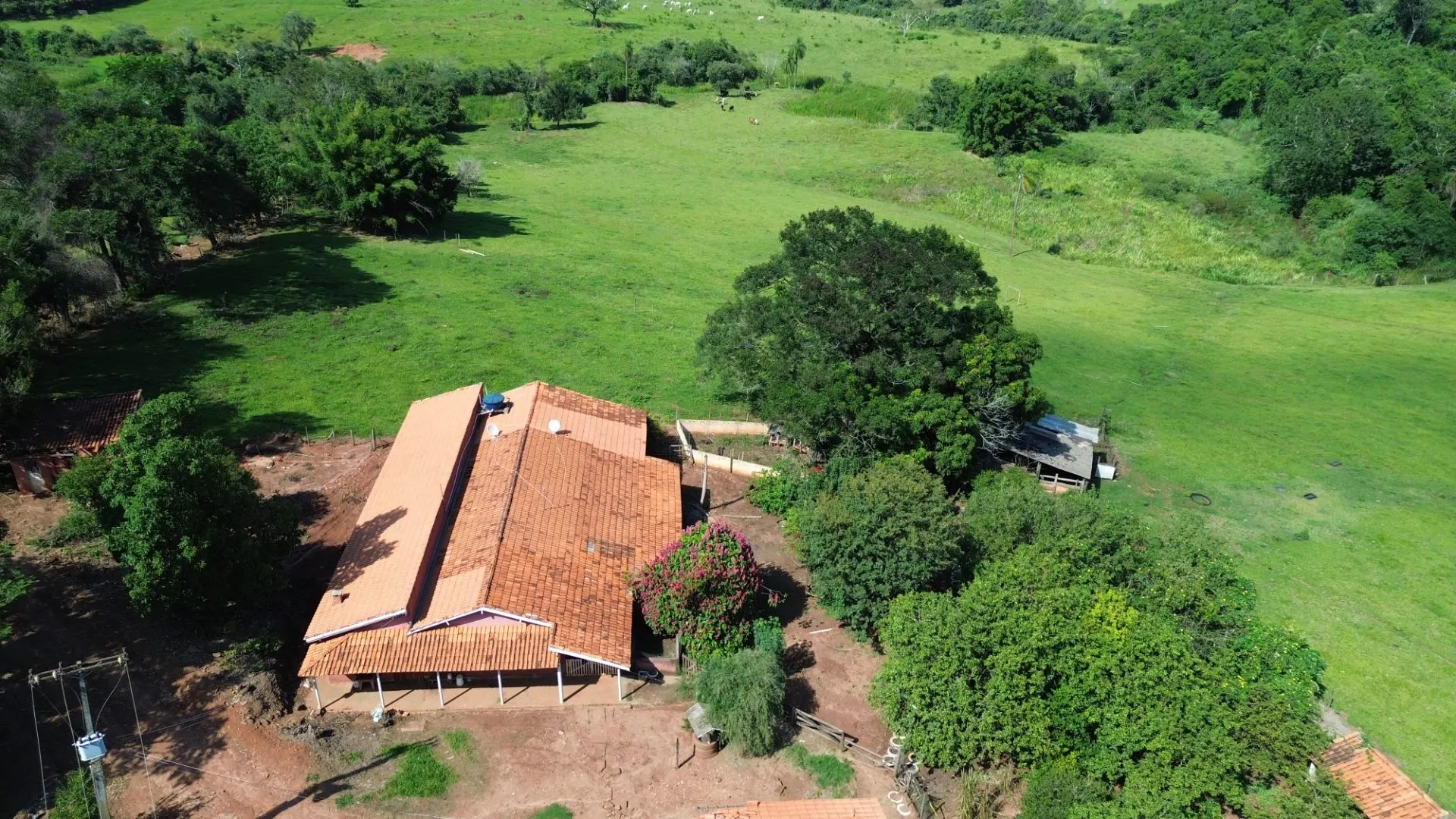 Small farm for sale of 24 acres in Piraju, SP, Brazil