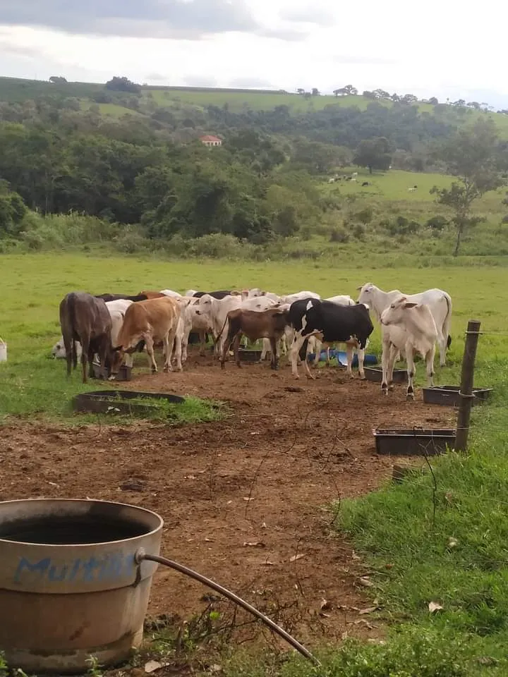 Small farm for sale of 24 acres in Piraju, SP, Brazil