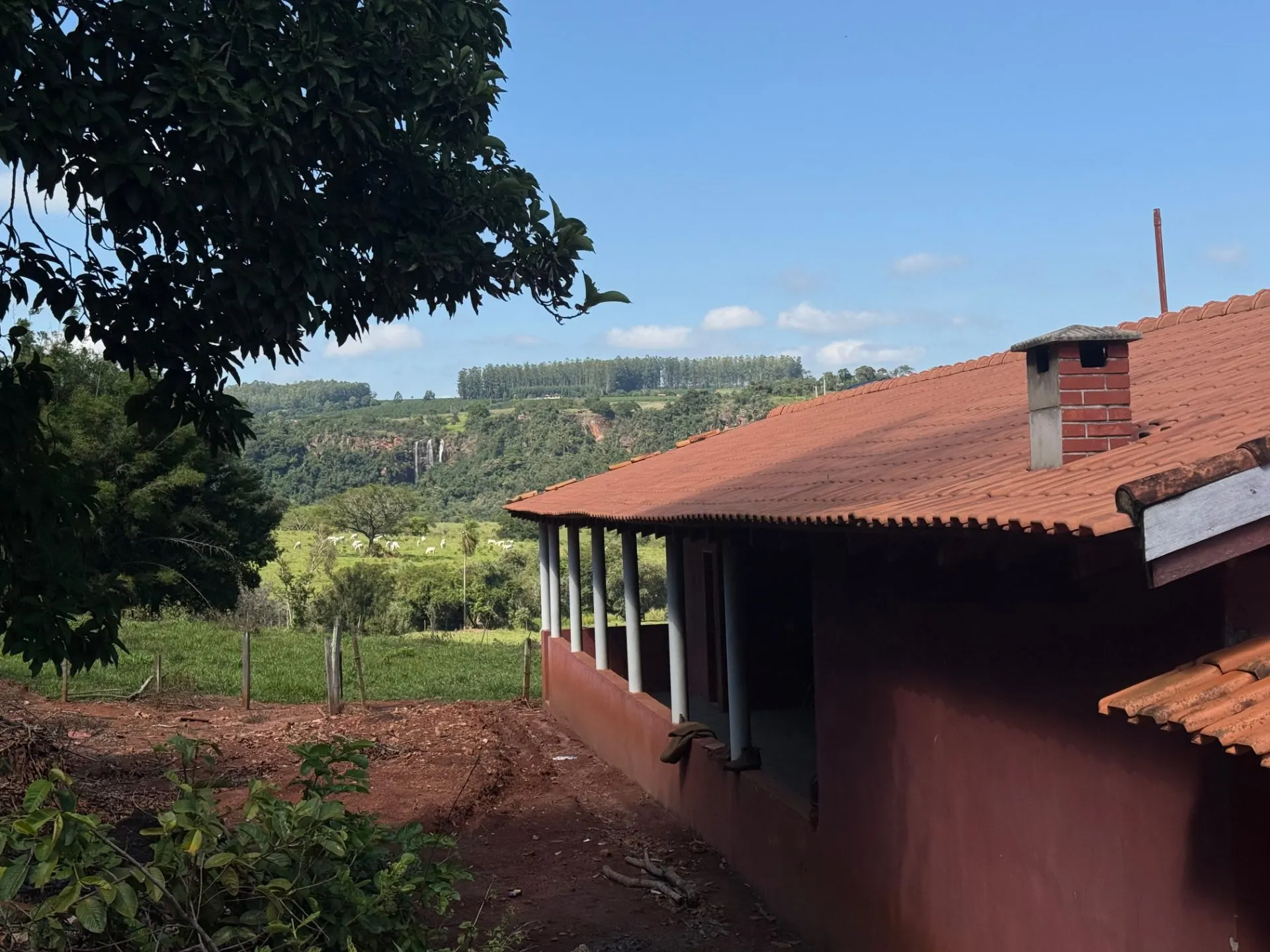 Small farm for sale of 24 acres in Piraju, SP, Brazil