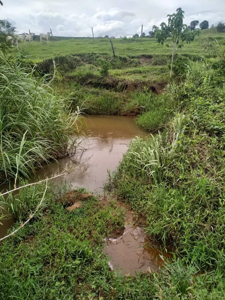 Small farm for sale of 24 acres in Piraju, SP, Brazil