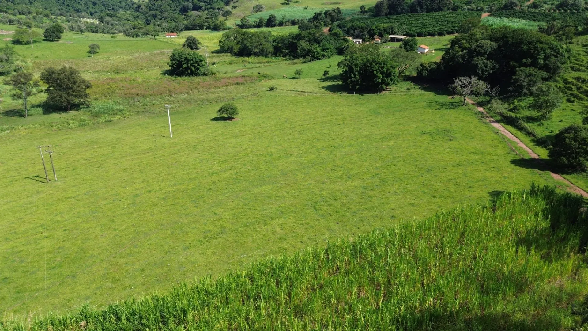 Small farm for sale of 24 acres in Piraju, SP, Brazil