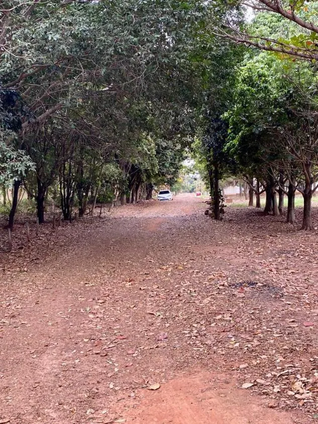 Farm for sale of 1,236 acres in Lins, SP, Brazil