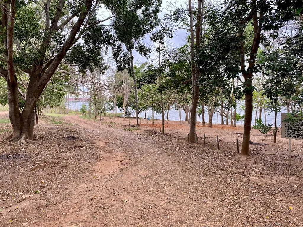 Farm for sale of 1,236 acres in Lins, SP, Brazil