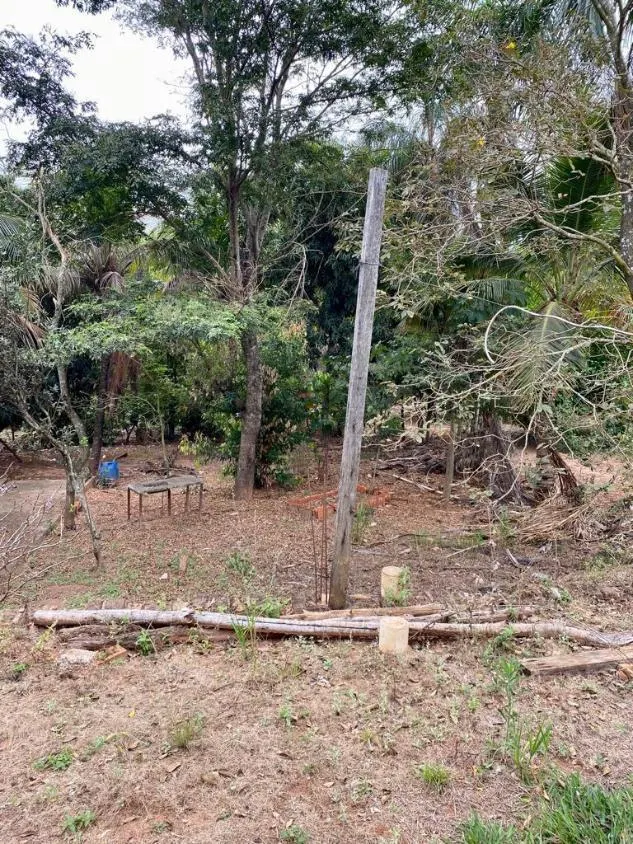 Farm for sale of 1,236 acres in Lins, SP, Brazil