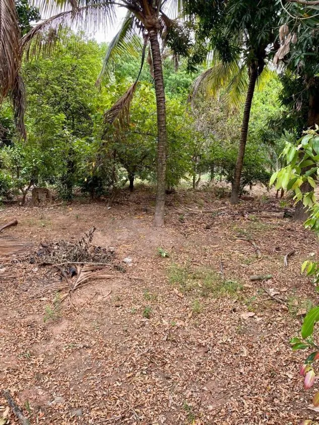 Farm for sale of 1,236 acres in Lins, SP, Brazil