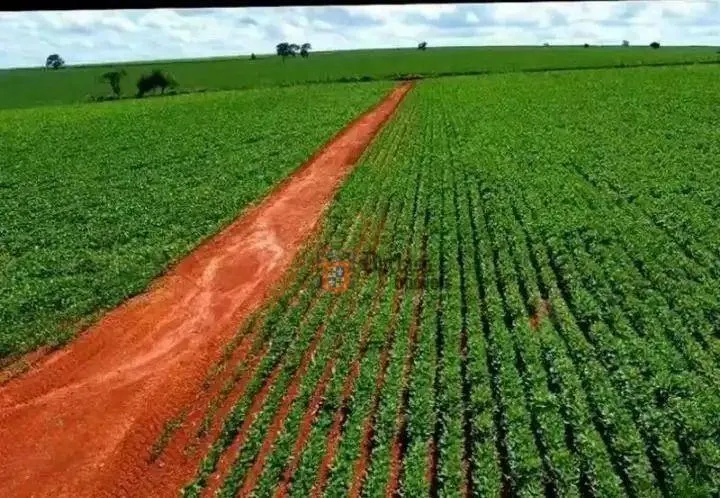 Fazenda à venda de 231 ha em Tatuí, SP, Brasil