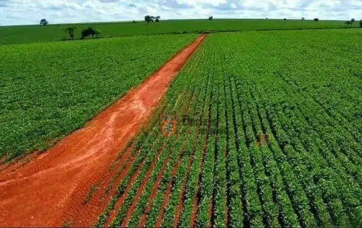 Fazenda à venda de 231 ha em Tatuí, SP, Brasil