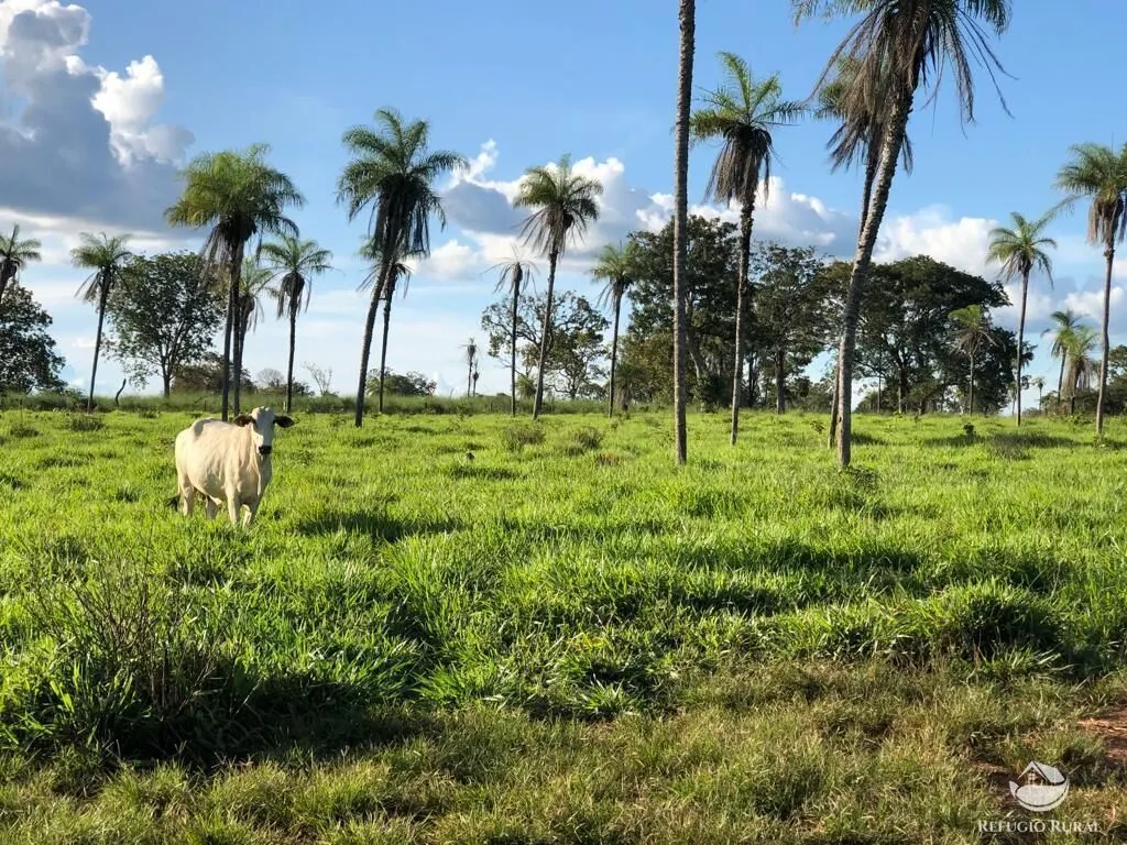 Fazenda à venda de 2.574 ha em Dueré, TO, Brasil