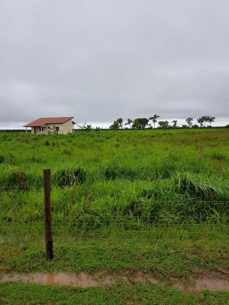 Fazenda à venda de 7.802 ha em Araguaiana, MT, Brasil