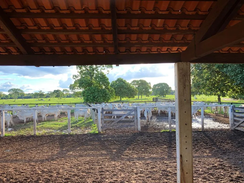 Fazenda à venda de 7.802 ha em Araguaiana, MT, Brasil