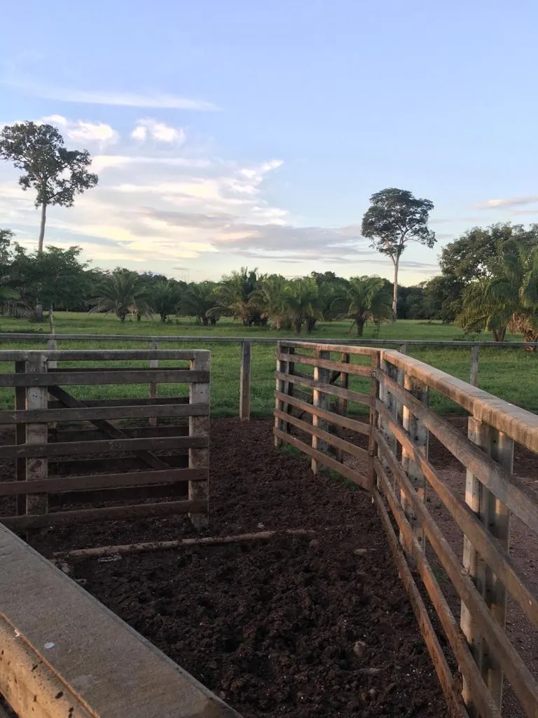 Fazenda à venda de 7.802 ha em Araguaiana, MT, Brasil