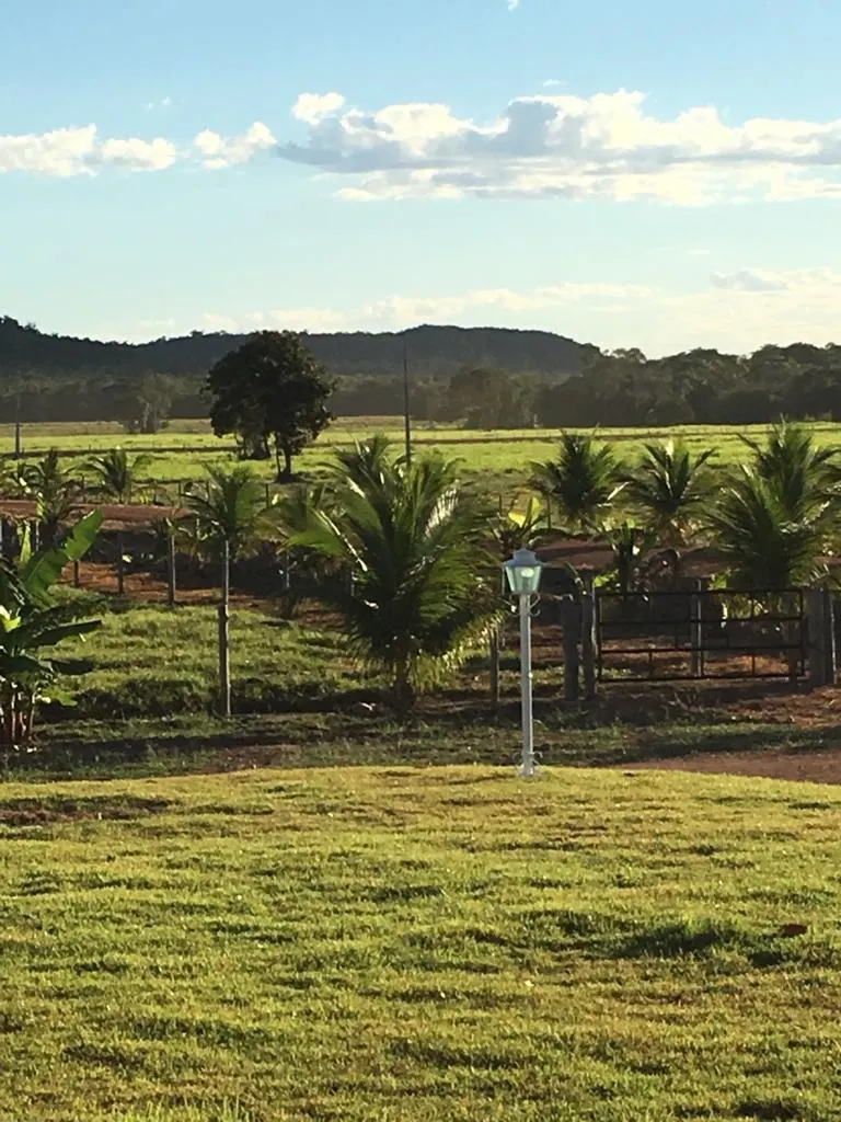Fazenda à venda de 7.802 ha em Araguaiana, MT, Brasil