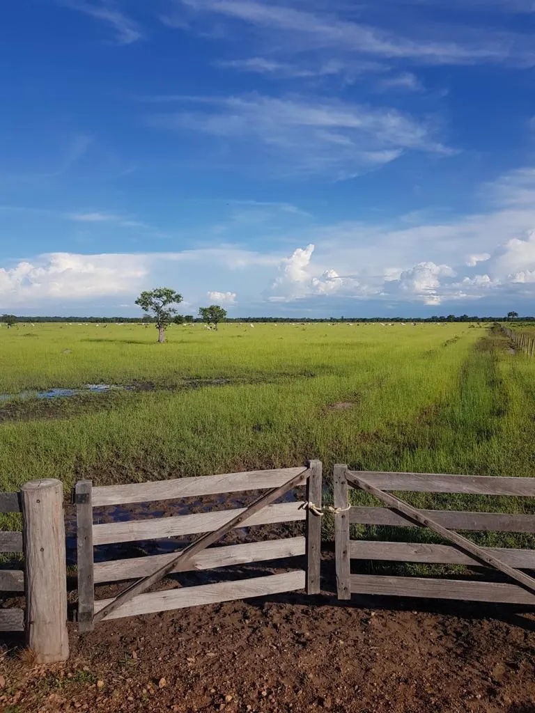 Fazenda à venda de 7.802 ha em Araguaiana, MT, Brasil