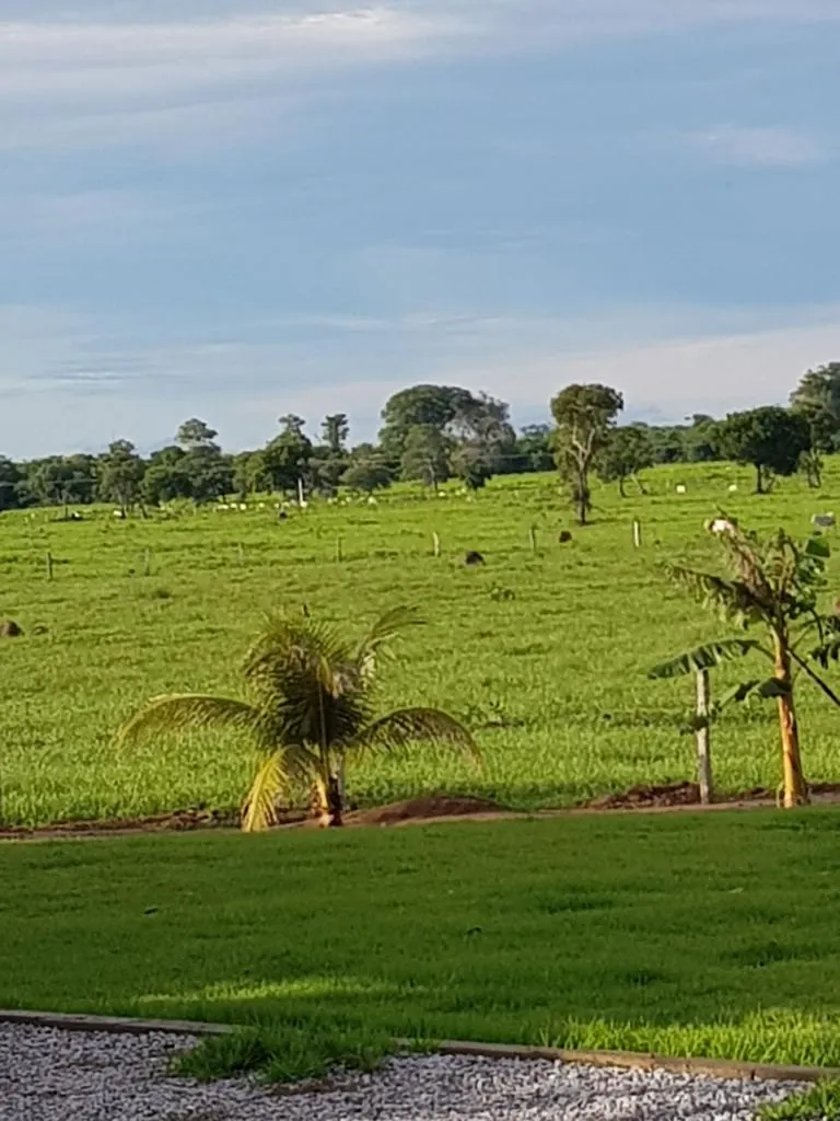 Fazenda à venda de 7.802 ha em Araguaiana, MT, Brasil
