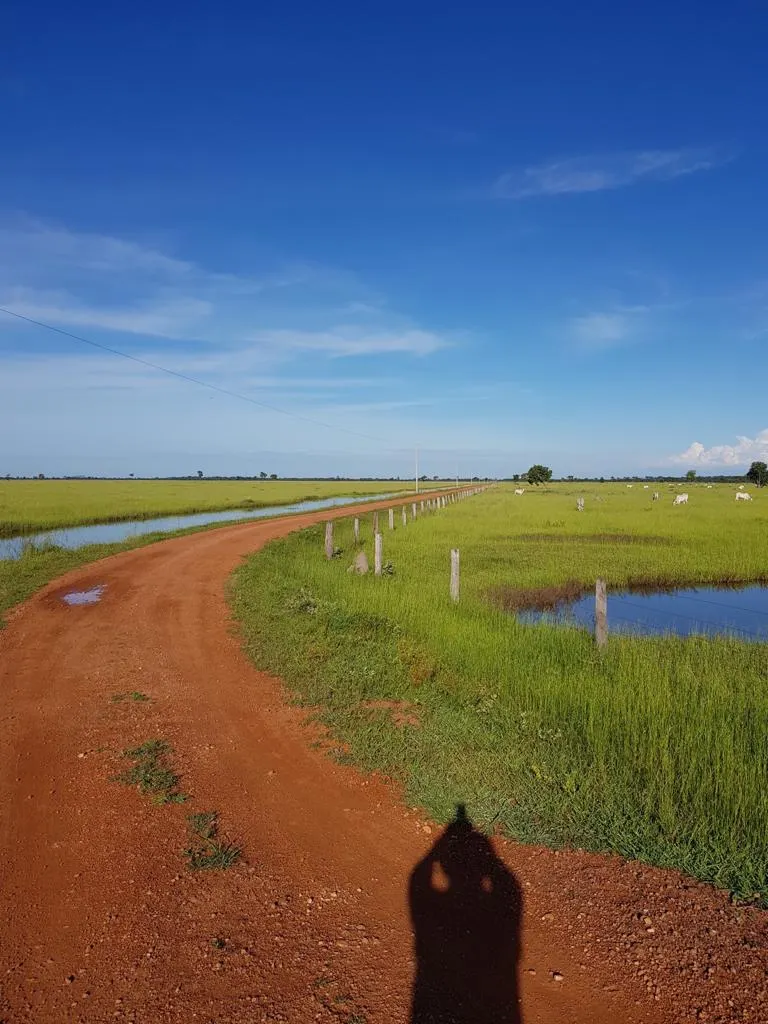 Fazenda à venda de 7.802 ha em Araguaiana, MT, Brasil